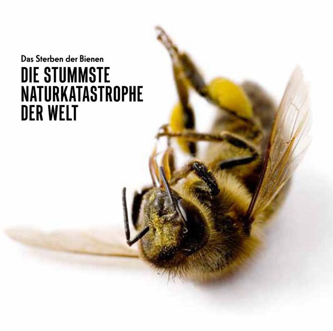Das Sterben der Bienen